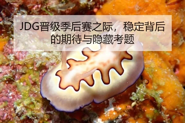JDG晋级季后赛之际，稳定背后的期待与隐藏考题 | hth